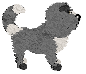 Charmme/Witz's Dead End — “Blocked”