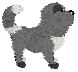 Charmme/Witz's Dead End — “Blocked”