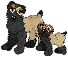 Profile image of Charmme/Witz's Sweetie, Honey, Cupcake, Babe