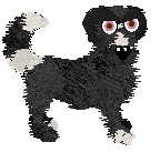 Charmme/Witz's Garden Nymph — “Paws”