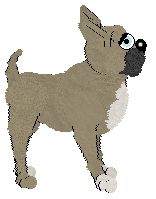 Charmme/Witz's Medical Miracle — “Doctor”