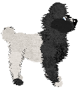 Charmme/Witz's Free to Download — “Filezilla”