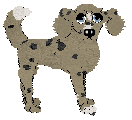 Charmme/Witz's A Bit Blocked — “Vandi”