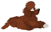 NSP/Tangled's I Contain Multitudes — “Braham”