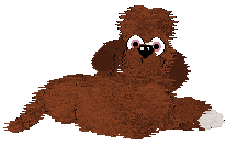 NSP/Tangled's I Contain Multitudes — “Braham”