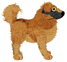 Cirrutopia/Audaxity's No More Secrets — “Opacity”