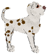 Rhat's What Says the Haruspex at TWM — “Livis”