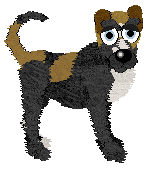 Witz's Black Label Beauty — “Coco”