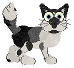 Krunchez More Reasons To Shop — “Morrison”