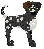 Tangle's Dancing with the Stars — “Polka”