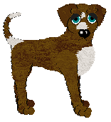 Ferality/Spellbound's Calmly Observing Order at Tanglewood — “Orokorra”