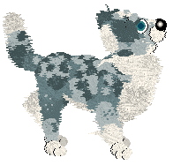 Tabbz' A Beneficial Pest at Vanilla — “Earwig”