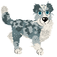 Tabbz' A Beneficial Pest at Vanilla — “Earwig”