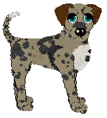 Ferality/Spellbound's Catching Wind of Rumors at Tanglewood — “Coitcheann”