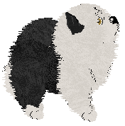 Tangle's Fluffy Thing One — “Malto”