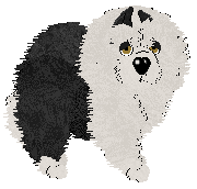 Profile image of Tangle's Fluffy Thing One