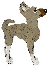 Ferality's Tall as a Tree at Tanglewood — “Breadfruit”