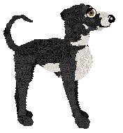 Profile image of Ferality's No Luck Here at Tanglewood