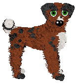 Dandy/Tangled's Already Named Yew — “Taxus”