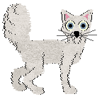 Witz/Tangled's Fields of Color — “Tulip”