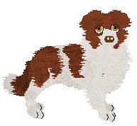 Come Bye's Are You Ready? — “Ready”