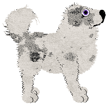 Cirrutopia's Rhythm of Protection at Vanilla — “Khromata”