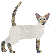 Sierpiński's Queen of the Gods at Vanilla — “Hera”