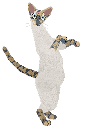 Profile image of Sierpiński's Queen of the Gods at Vanilla