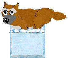 Wonder/Cargo's Tundra Sunset — “Smudge”