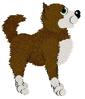 Husky Trax/Cargo's In The Winter Woods — “Hybrid”