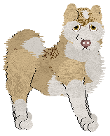 Cargo's Ice Milk — “Creamsicle”