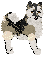 Cargo's Last Frontier — “Mush”