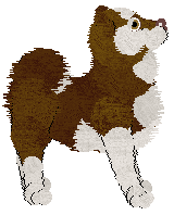 Cargo's Frozen Fudge — “Fudgsicle”