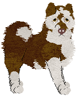 Cargo's Frozen Fudge — “Fudgsicle”