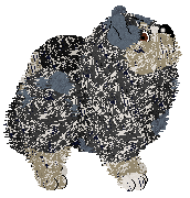 Spellbound's Academy of Spells at Wild Road — “Academy”