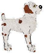 Charmme's Next Gen Technology at Wild Road — “Campfield”