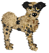 Wild Road's Sun Child — “Samso”