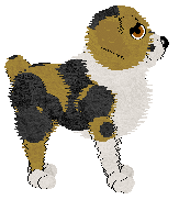 SDX/Aura's Dash of Salt — “French Fry”