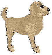 Aura's Wild Rice — “Arroz”