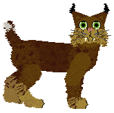 PH's Lucky Clover — “Shamrock”