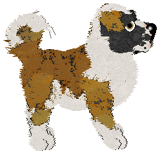 Profile image of PH's Life in Plastic