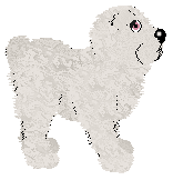 Vanilla's Soft Steps Onto Snowdrift @ Mockingbird — “Shy”