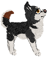 Profile image of Pachelbel's Still Seal