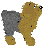 PH's Sunshine Day — “Taru”