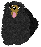 Mockingbird's In Plain Sight You Hid — “Cubit”