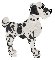 Lex's Soon You'll Get Better @ Mockingbird — “Angelica”