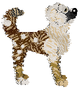 Sz's Rocky Road at the Mosserie — “Rhidge”