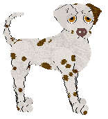 Profile image of Poppyhill's Thing of Splendor