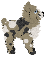 NSP/Aura's Snake In The Grass — “Caine”