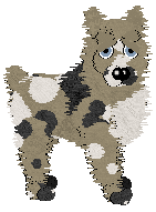 NSP/Aura's Snake In The Grass — “Caine”